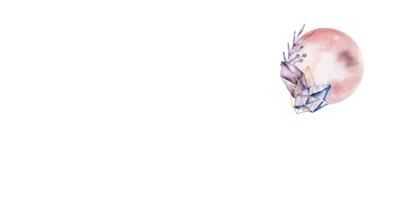 The Wild Moon Company